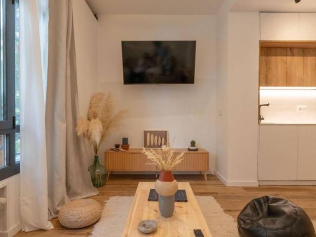 Alquiler Apartamentos Madrid Madrid DS98888245