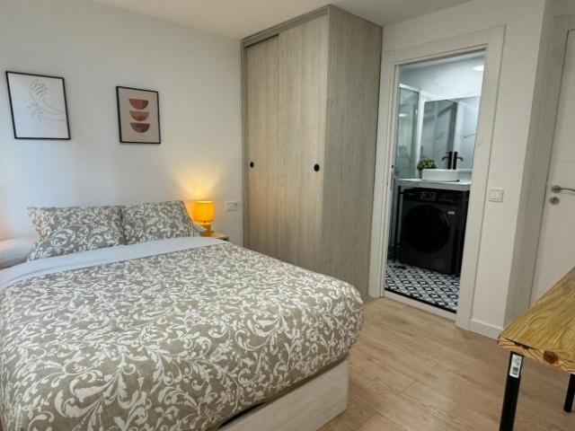 Alquiler Apartamentos Madrid Madrid DS99342817