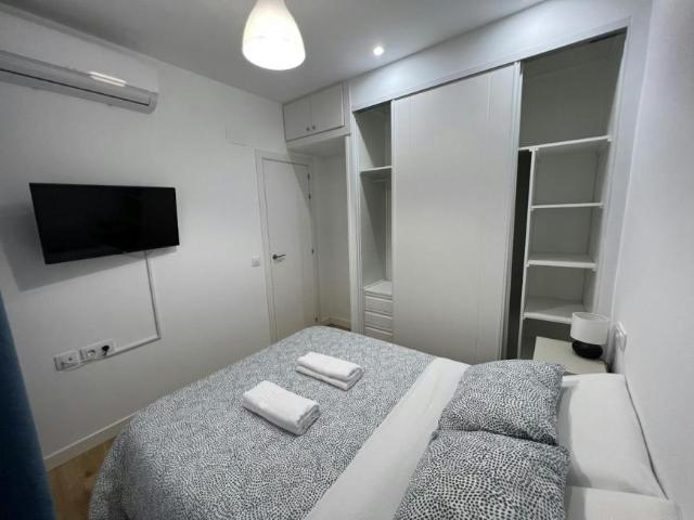 Alquiler Apartamentos Madrid Madrid DS99342930