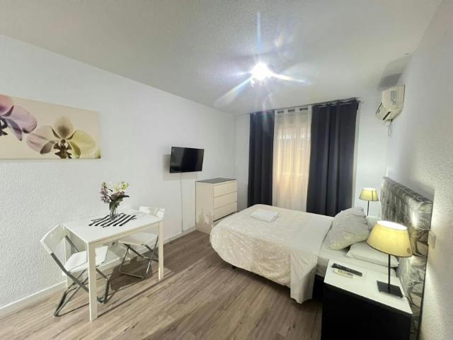 Alquiler Apartamentos Madrid Madrid DS99977659