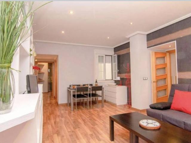 Alquiler Apartamentos Madrid Madrid DS91574850