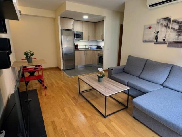 Alquiler Apartamentos Madrid Madrid DS93880041