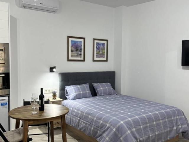 Alquiler Apartamentos Malaga Malaga DLS96591357