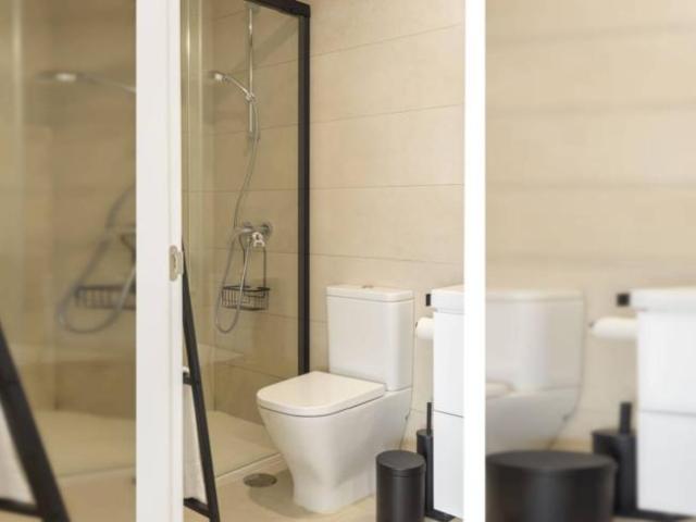 Alquiler Apartamentos Malaga Malaga DLS99010494