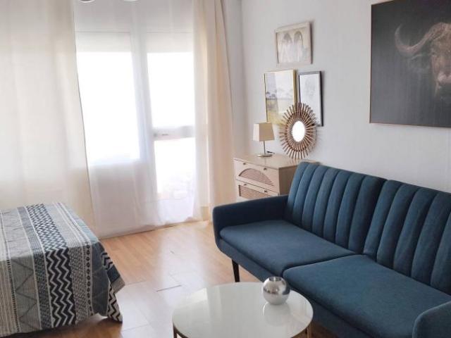 Alquiler Apartamentos Malaga Malaga DLS103014167