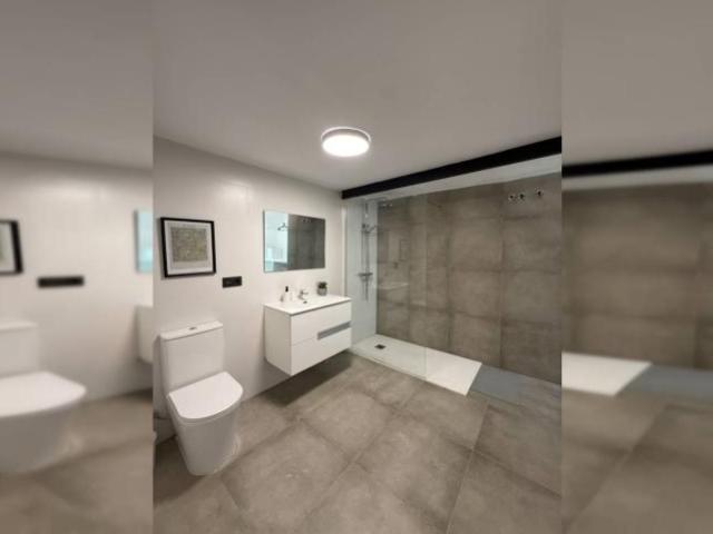 Alquiler Apartamentos Malaga Malaga DS100945881