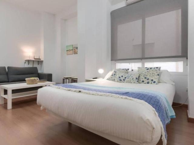 Alquiler Apartamentos Malaga Malaga DS101776050