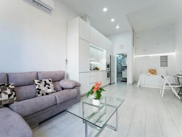 Alquiler Apartamentos Málaga Málaga DS102340113