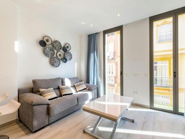 Alquiler Apartamentos Málaga Málaga DS102367526