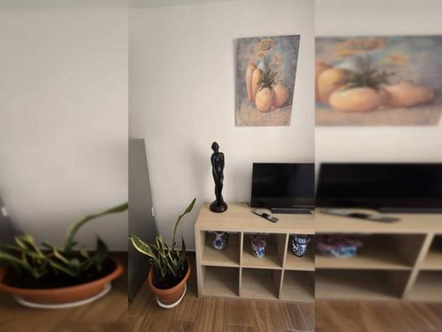 Alquiler Apartamentos Malaga Malaga DS102631359