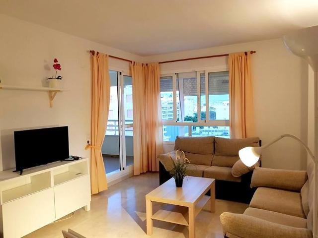 Alquiler Apartamentos Málaga Málaga DS102752247