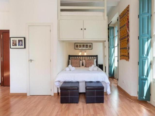 Alquiler Apartamentos Malaga Malaga DS103287013