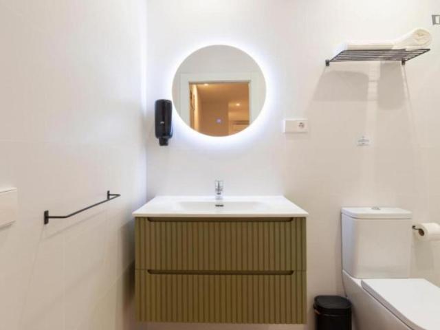 Alquiler Apartamentos Málaga Málaga DS104294126