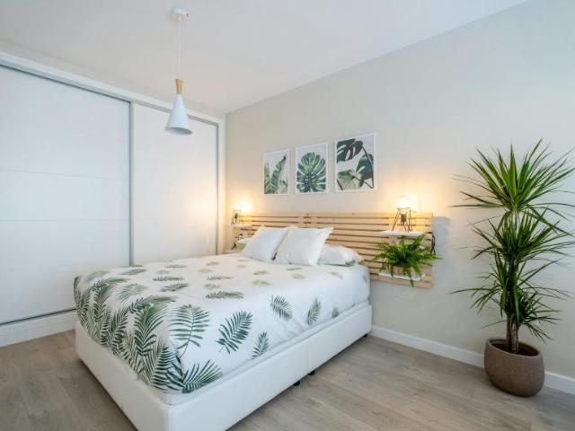 Alquiler Apartamentos Málaga Málaga DS104364518