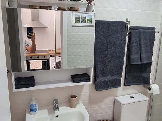 Alquiler Apartamentos Málaga Málaga DS104324696
