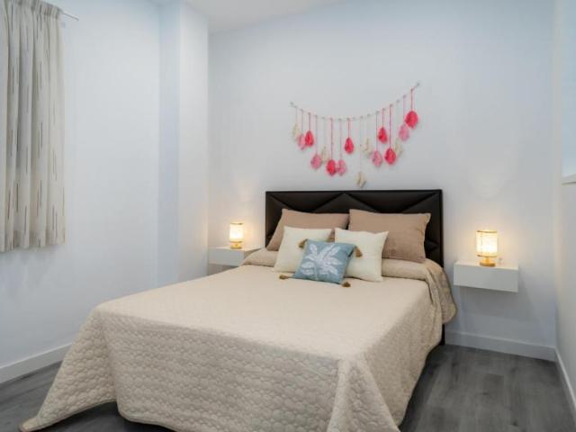 Alquiler Apartamentos Málaga Málaga DS104474522