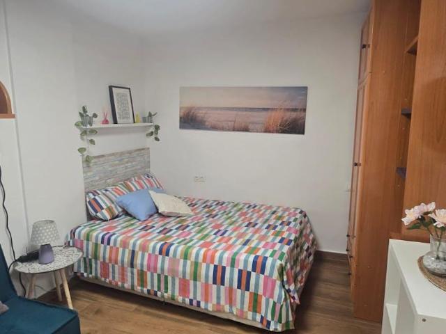 Alquiler Apartamentos Málaga Málaga DS104783077