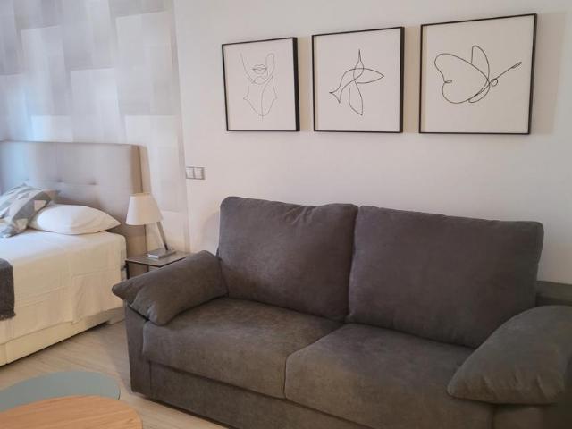 Alquiler Apartamentos Málaga Málaga DS77967204