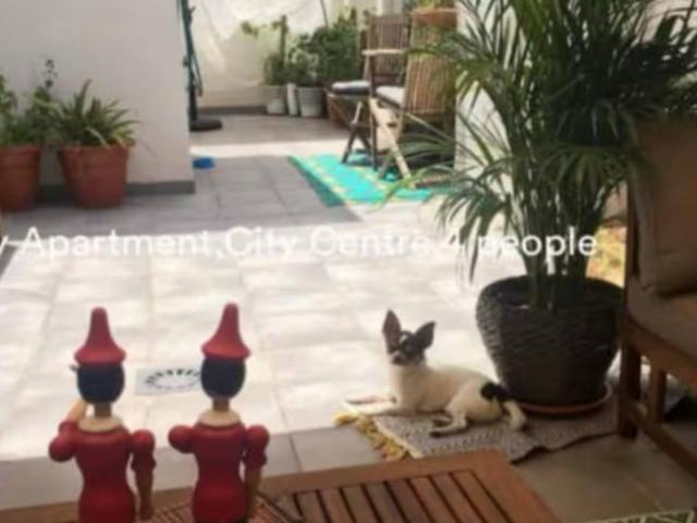 Alquiler Apartamentos Malaga Malaga DS94671968