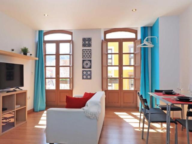 Alquiler Apartamentos Málaga Málaga DS95979339