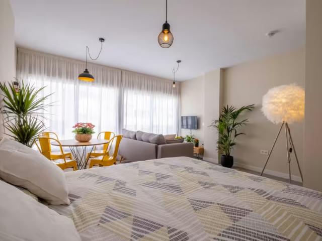 Alquiler Apartamentos Málaga Málaga DS98333929