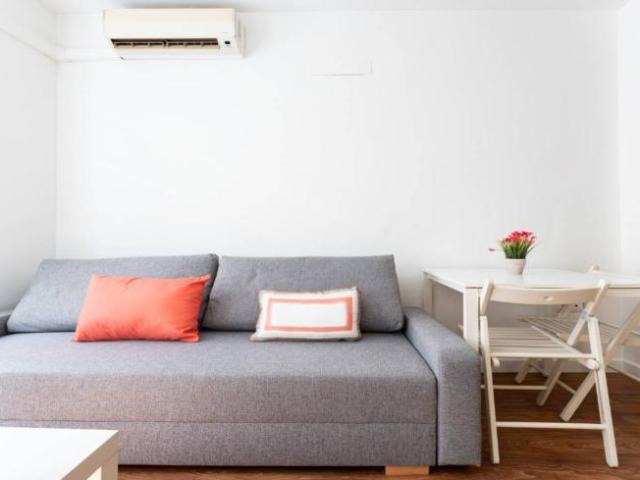 Alquiler Apartamentos Malaga Malaga DS98753077