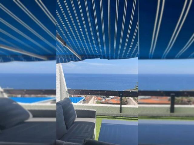 Alquiler Apartamentos Santa Cruz De Tenerife Santa Cruz De Tenerife DS101806011