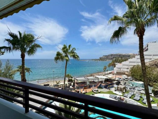 Alquiler Apartamentos Santa Cruz De Tenerife Santa Cruz De Tenerife DS101837290