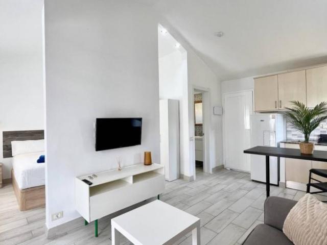 Alquiler Apartamentos Santa Cruz De Tenerife Santa Cruz De Tenerife DS101849632