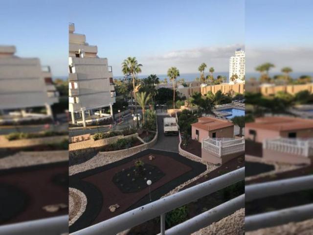 Alquiler Apartamentos Santa Cruz De Tenerife Santa Cruz De Tenerife DS93055428