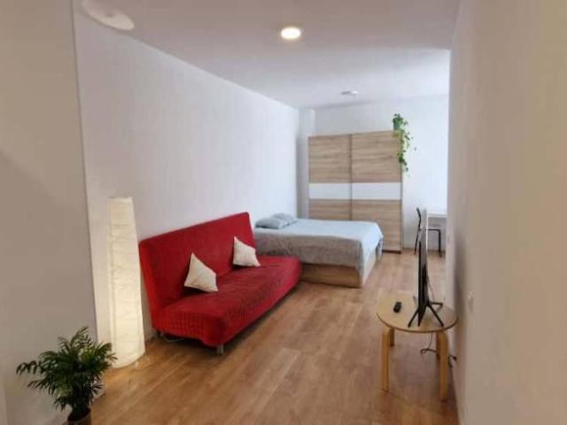 Alquiler Apartamentos Santa Cruz De Tenerife Santa Cruz De Tenerife DS95325596