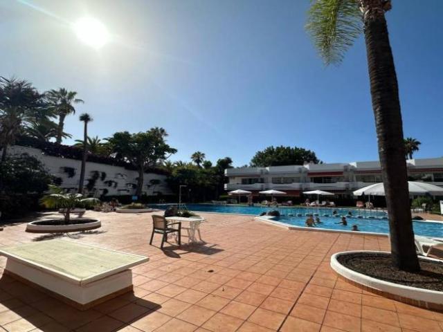 Alquiler Apartamentos Santa Cruz De Tenerife Santa Cruz De Tenerife DS98572875