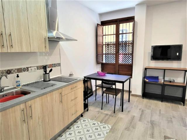 Alquiler Apartamentos Sevilla Sevilla DS104798105