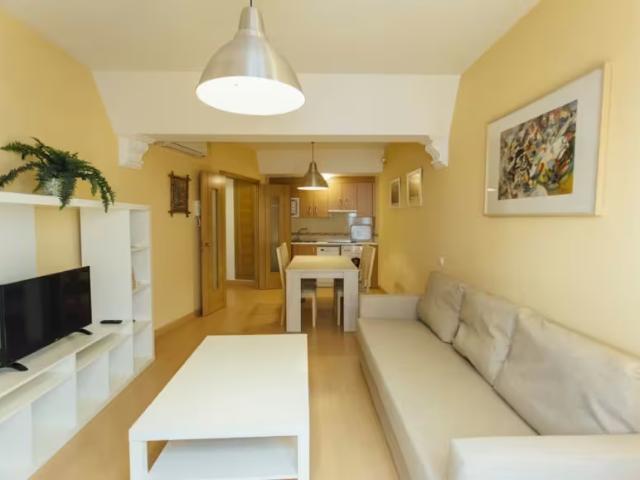 Alquiler Apartamentos Sevilla Sevilla DS100357670
