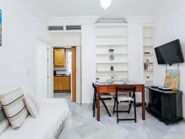 Alquiler Apartamentos Sevilla Sevilla DS101020415