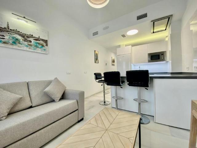 Alquiler Apartamentos Sevilla Sevilla DS103244313