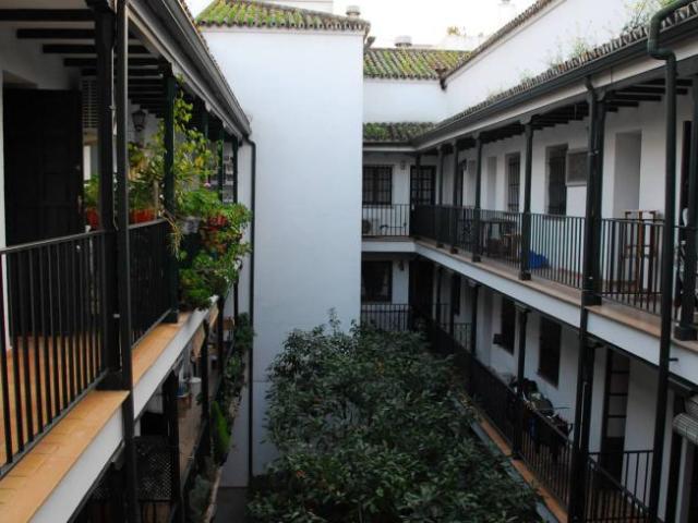 Alquiler Apartamentos Seville Seville DS97909918