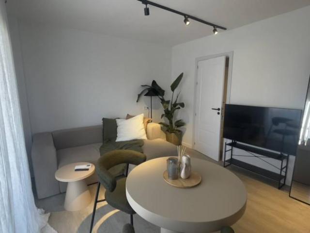 Alquiler Apartamentos Palma De Mallorca Palma De Mallorca DLS95572340
