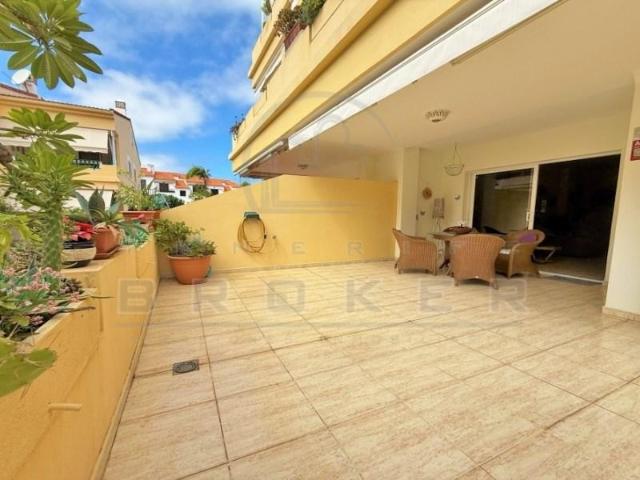 Alquiler Apartamentos Puerto De La Cruz Puerto De La Cruz DLS95654758