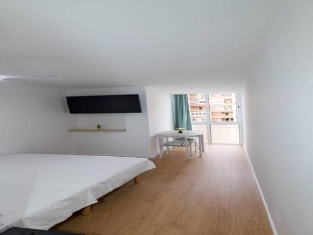 Alquiler Apartamentos Valencia Valencia DLS101738231