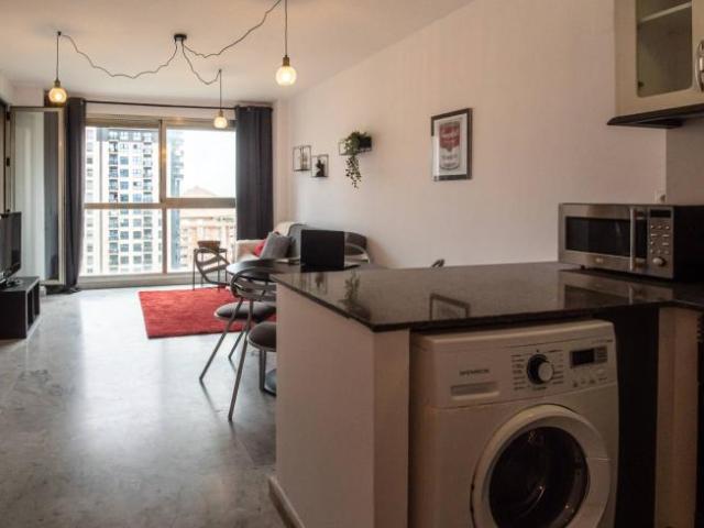 Alquiler Apartamentos Valencia Valencia DLS101761979