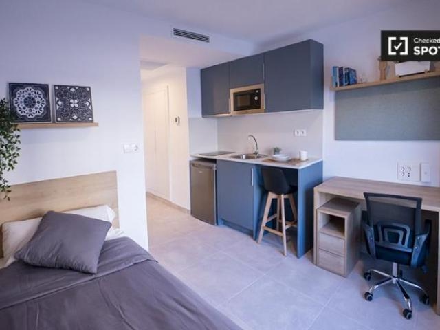 Alquiler Apartamentos Valencia Valencia DLS101771032