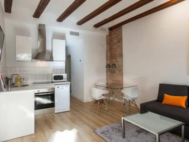 Alquiler Apartamentos Valencia Valencia DLS101821735