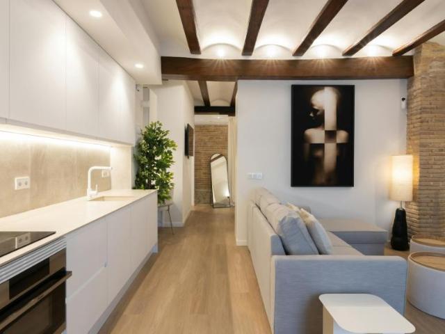Alquiler Apartamentos Valencia Valencia DS100717954