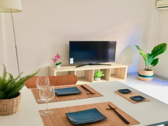 Alquiler Apartamentos Valencia Valencia DS101671252