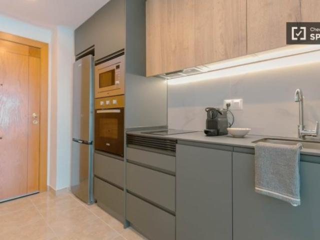 Alquiler Apartamentos Valencia Valencia DS101810758
