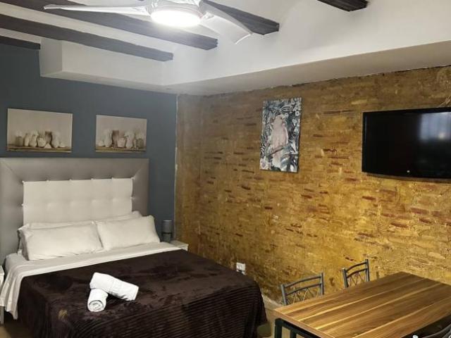 Alquiler Apartamentos Valencia Valencia DS101818296