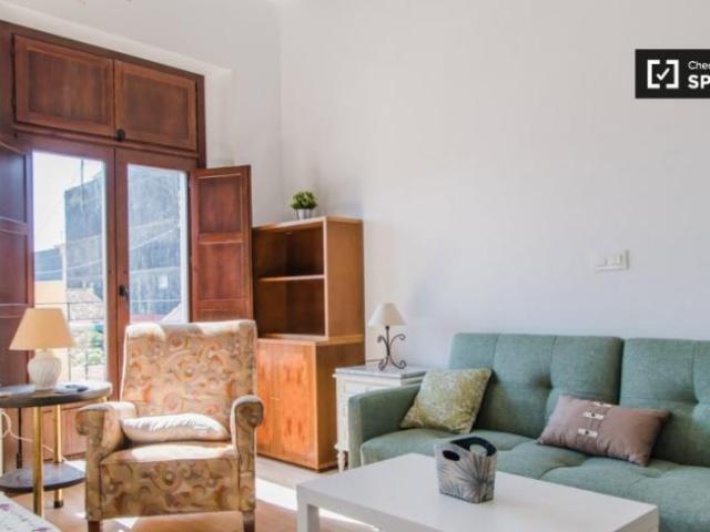 Alquiler Apartamentos Valencia Valencia DS101824714