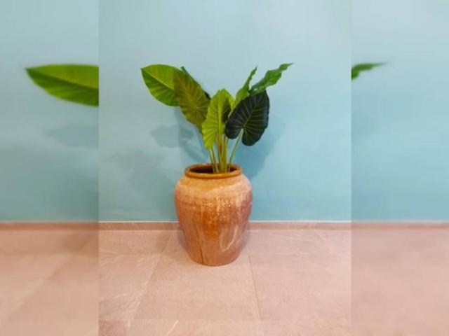 Alquiler Apartamentos Valencia Valencia DS101886235