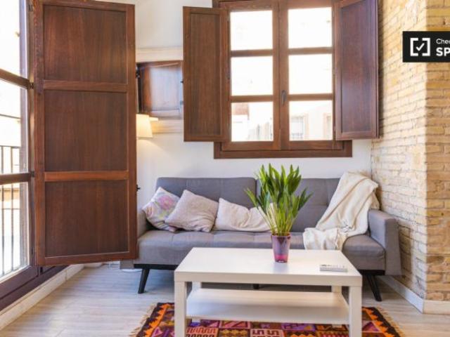 Alquiler Apartamentos Valencia Valencia DS101306278
